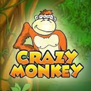 Crazy Monkey